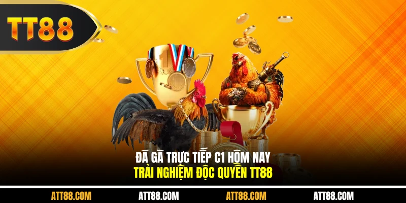 Đá Gà Trực Tiếp C1 Hôm Nay